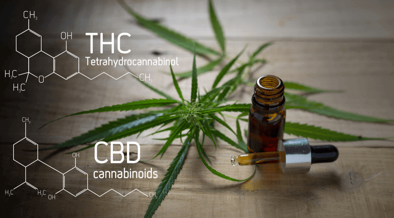 cbd oil vs hemp oil