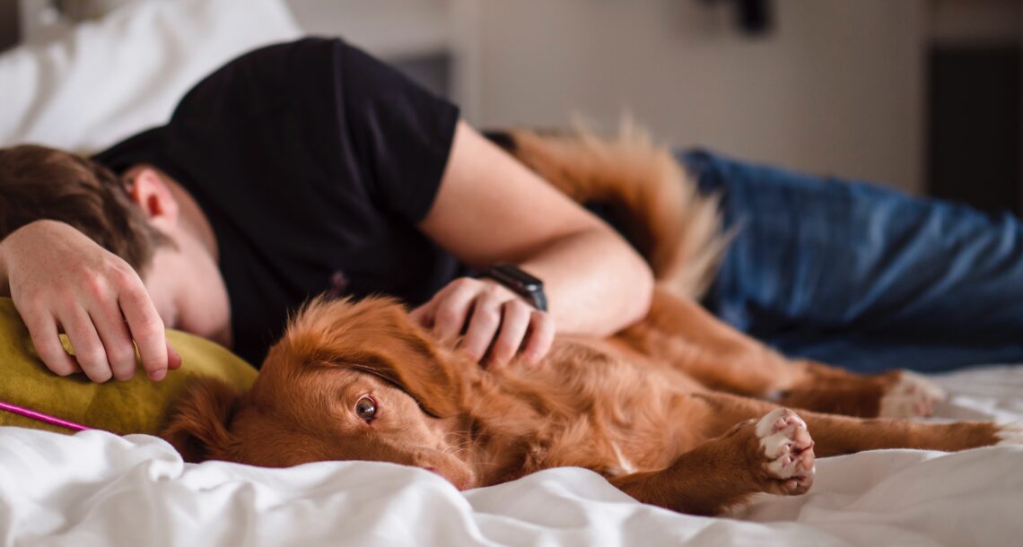 Man laying in bed with his dog